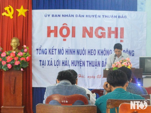 /mo-hinh-nuoi-heo