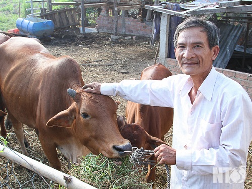 /benh-binh