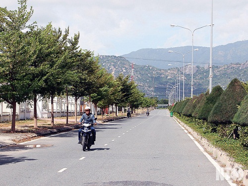 /nong-thong-xanh