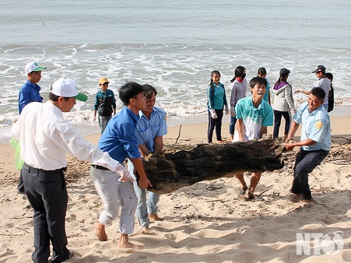 /ve-sinh-moi-truong